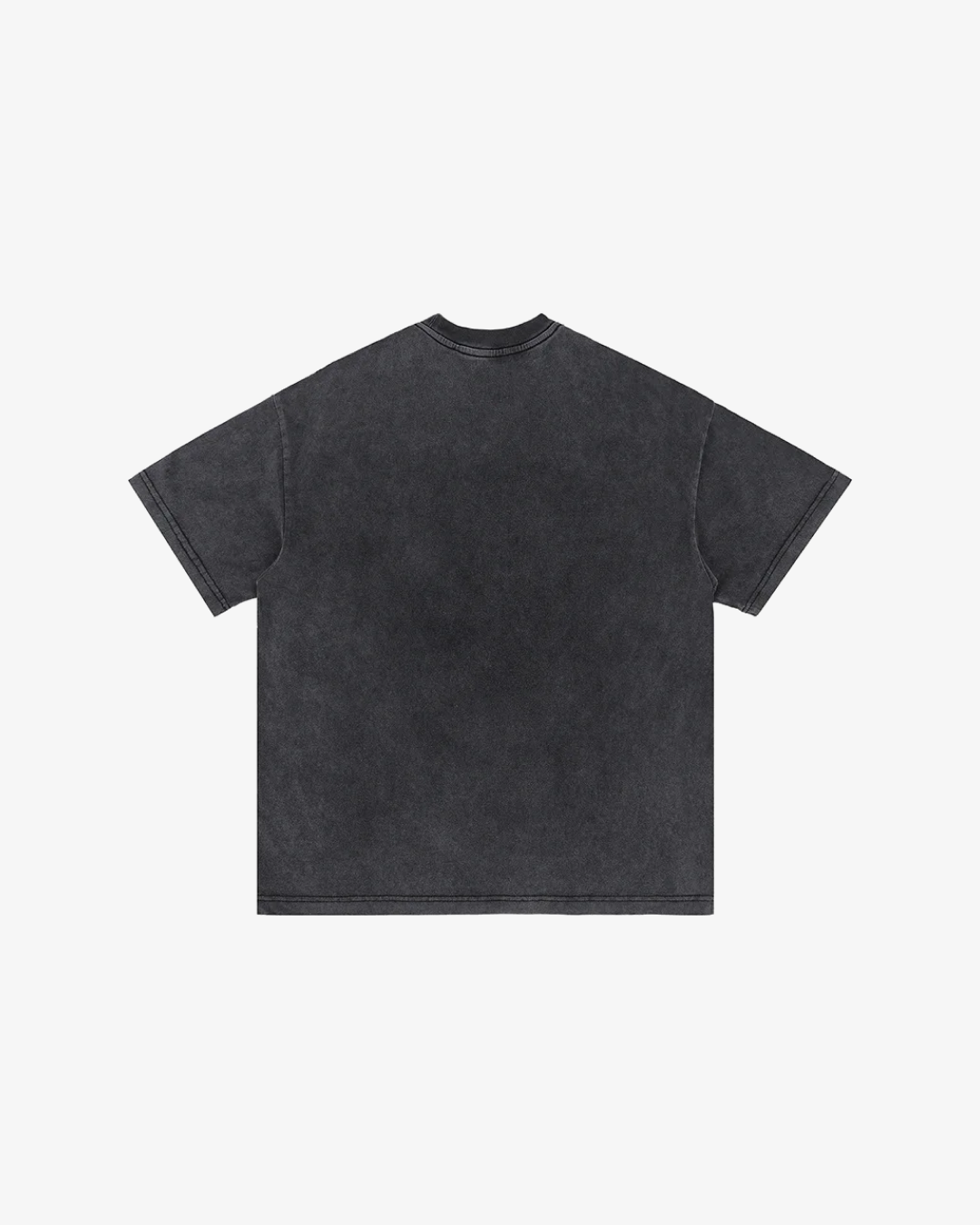 Washed Champions T-Shirt