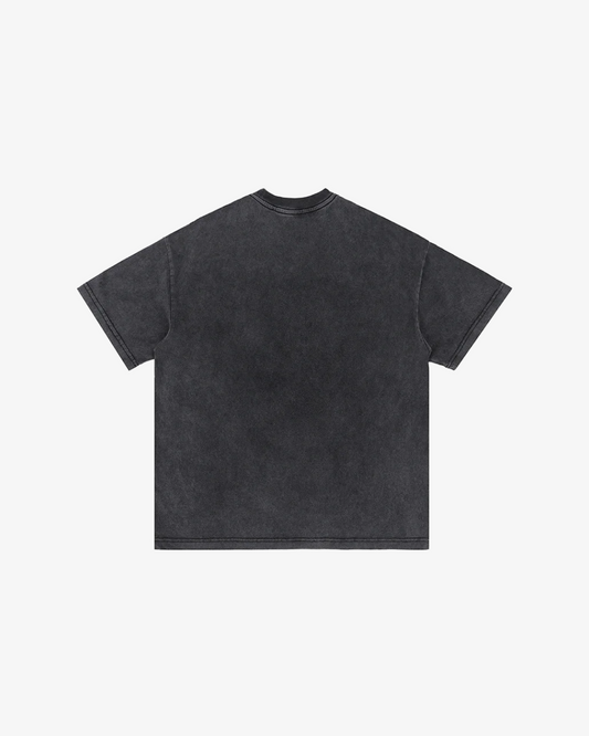 Washed Champions T-Shirt